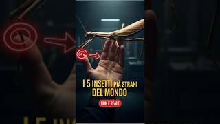 I 5 Insetti Più Strani Del Mondo
