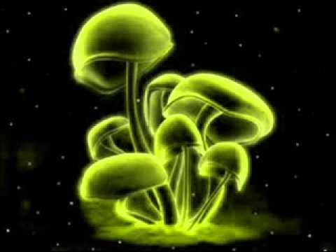 Waio - How To Psytrance