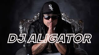DJ Aligator • The best tracks • part 1