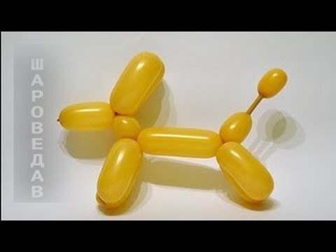 Как сделать собачку из шариков колбасок поэтапно Как сделать собачку из шариков колбасок поэтапно