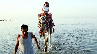 Hurghada Ägypten Kamelreiten am Meer 2017 MK