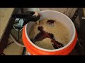 Video RIMS Electric All Grain Home Brewing using Arduino Part 2