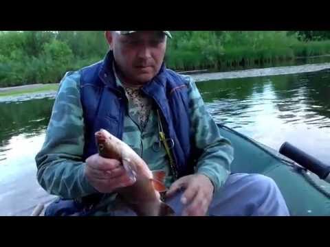 щербаков ловля язя щербаков ловля язя