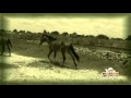 BANDA VALEU BOI - LAMENTO DO CAVALO.flv BANDA VALEU BOI - LAMENTO DO CAVALO.flv