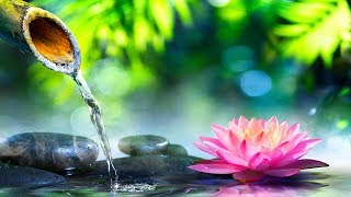 Relaxing Music 24/7, Meditation, Reiki Music, Sleep, Calm Music, Sleep Music, Healing, Study, Spa