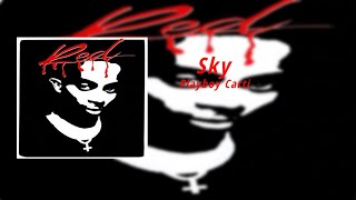 Playboy Carti - Sky (8D Audio)