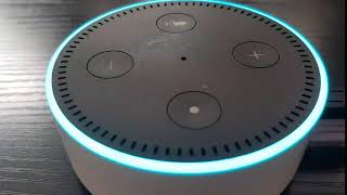Alexa - Tell me a Joke