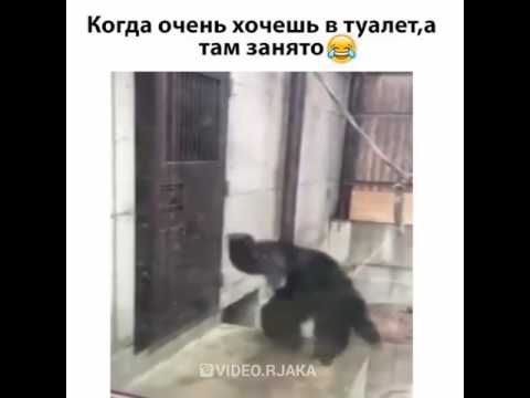 После Секса Очень Хочется В Туалет