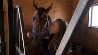 Pet horse becomes racing champion