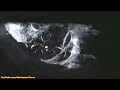 Harry Potter Full Ride Hd Universal Florida Islands Of Adventure images Harry Potter Full Ride Hd Universal Florida Islands Of Adventure
