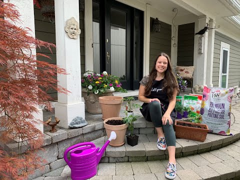 Let's Grow: Planting a Victory Garden ENGLISH GARDENS