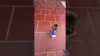 Bibi Run