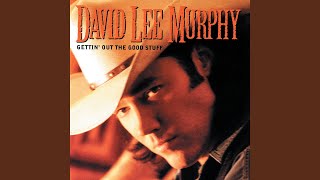 Watch David Lee Murphy Ive Been A Rebel and It Dont Pay video