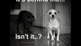 When parents walk in at wrong time