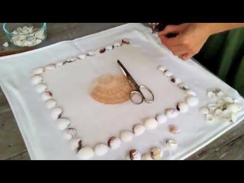Craft Ideas Seashells on Seashell Fun Crafts