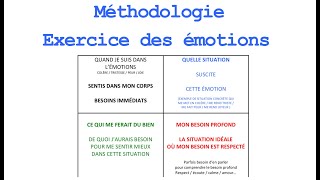 Méthodologie pour l'exercice émotions | Intelligence émotionnelle | La Méthode Vittoz en Famille