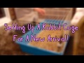 Setting Up A Rabbit Cage For A New Arrival | RosieBunneh