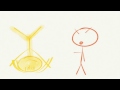 Gossamer by Lois Lowry - Minute Book Report