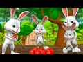 लालची खरगोश हिन्दी कहानी | Greedy Rabbit Hindi Story - 3D Animated Kids Bedtime Fairy Moral Stories
