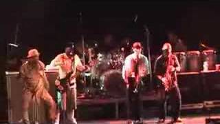 Watch Slightly Stoopid Ever Really Wanted video