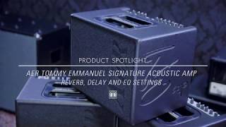 AER Compact 60 Tommy Emmanuel Acoustic Amp - Reverb, Delay, EQ Settings
