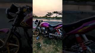 Mp Trondol Keren