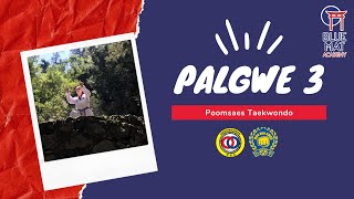 Palgwe 3 Moo Duk Kwan Taekwondo