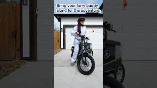 Wait This Ebike Can Carry My Dog, Kid And Groceries?