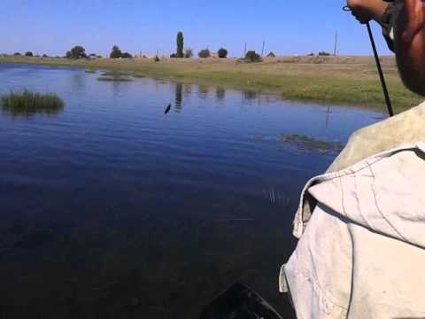 рыбалка в астрахани ерик казачий видео рыбалка во астрахани ложбина казацкий видео