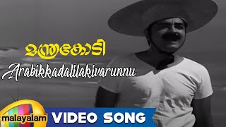 Manthrakodi Movie Songs - Arabikkadalilakivarunnu Song - Prem Nazir, Vijaysree, MS Viswanathan