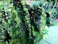 image Mini Air Terjun Rainest Waterfall Miniature