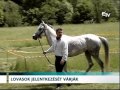 Lovasok jelentkezését várják – Erdélyi Magyar Televízió