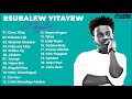 Esubalew Yitayew Playlist 🎧 2022 | እሱባለው ይታየው (የሺ) ኮሌክሽን