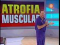 muscular