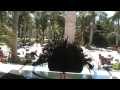Gran Bahia Principe Coba Lobby and Pools