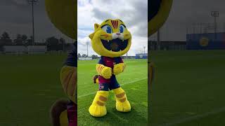 95FP1Nj8b9w Video Image