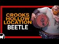 Crooks Hollow Riddle | Beetle Location | Sea of Thieves Guide