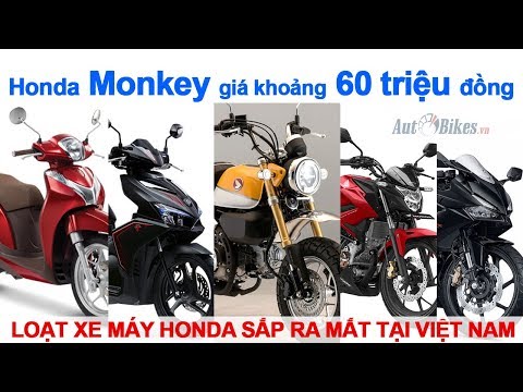 Hé lộ loạt xe máy Honda sắp ra mắt tại Việt Nam. #HondaMonkey giá khoảng 60 triệu đồng