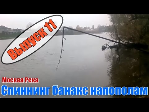 поклевка симулятор поклевка симулятор