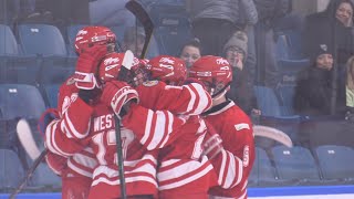 Flyers beat Vipers in first game of 2020