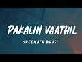 Pakalin Vaathil (lyrics) - Sreenath bhasi |  parava(2017)