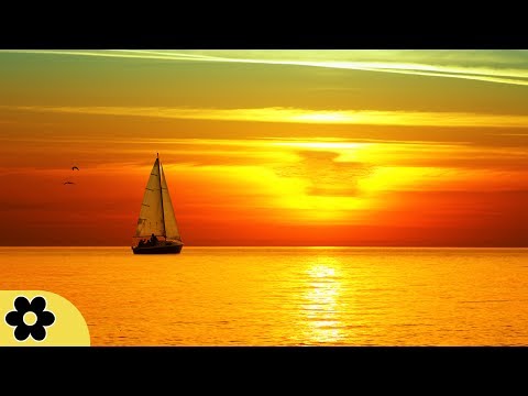 8 Hour Relaxing Sleep Music, Calm Music, Soft Music, Instrumental Music, Sleep Meditation, ✿3209C