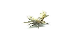 Watch Parts Beetle No 6 by A Mechanical Mind