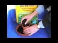 Tomato Growing - Day 1 - Sowing Seeds