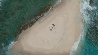 Sandy Spit - British Virgin Islands