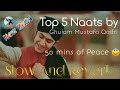 Top 5  Naat shareef | Ghulam Mustafa Qadri | Slow and Reverb | Islamic Lofi #ghulammustafaqadri