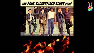 Watch Paul Butterfield Blues Band I Got My Mojo Working video