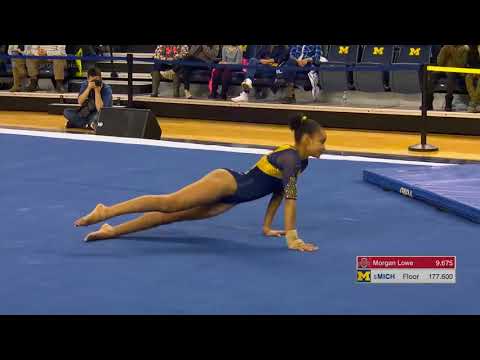 Brianna Brown (Michigan) 2018 Floor vs Ohio State 9.85