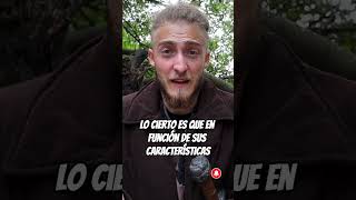 Presentamos Los Mandobles
