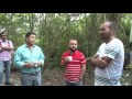 Lios con la Implementación de los Procesos de Paz download mp3 dan video Lios con la Implementación de los Procesos de Paz